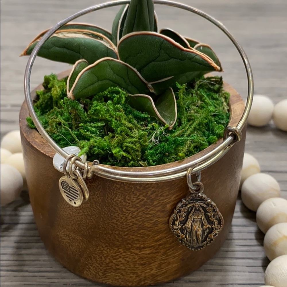 Alex and ani bracelet